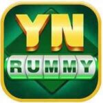 Yn Rummy